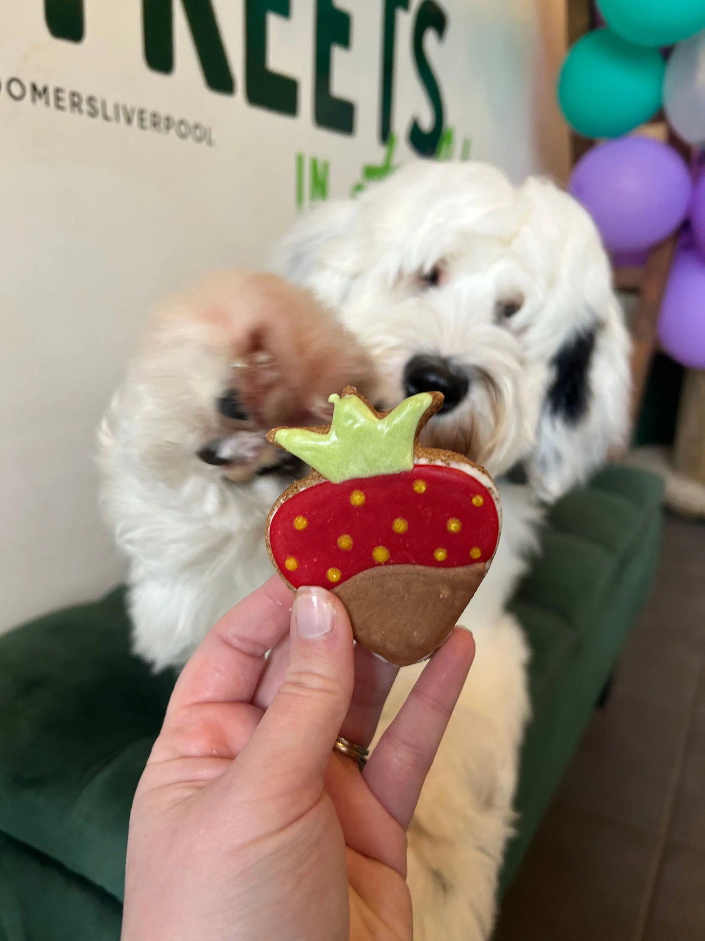 Valentines Treat Box For Dogs The Groomers Tuck Shop