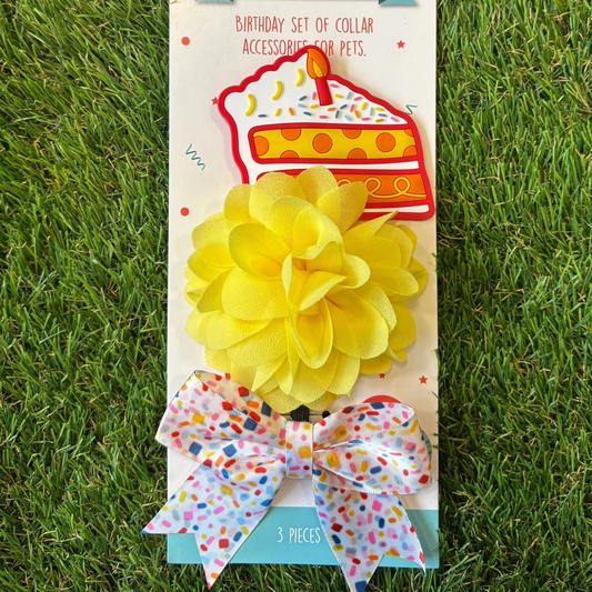 Dog Collar Birthday Accessory Set The Groomers Tuck Shop