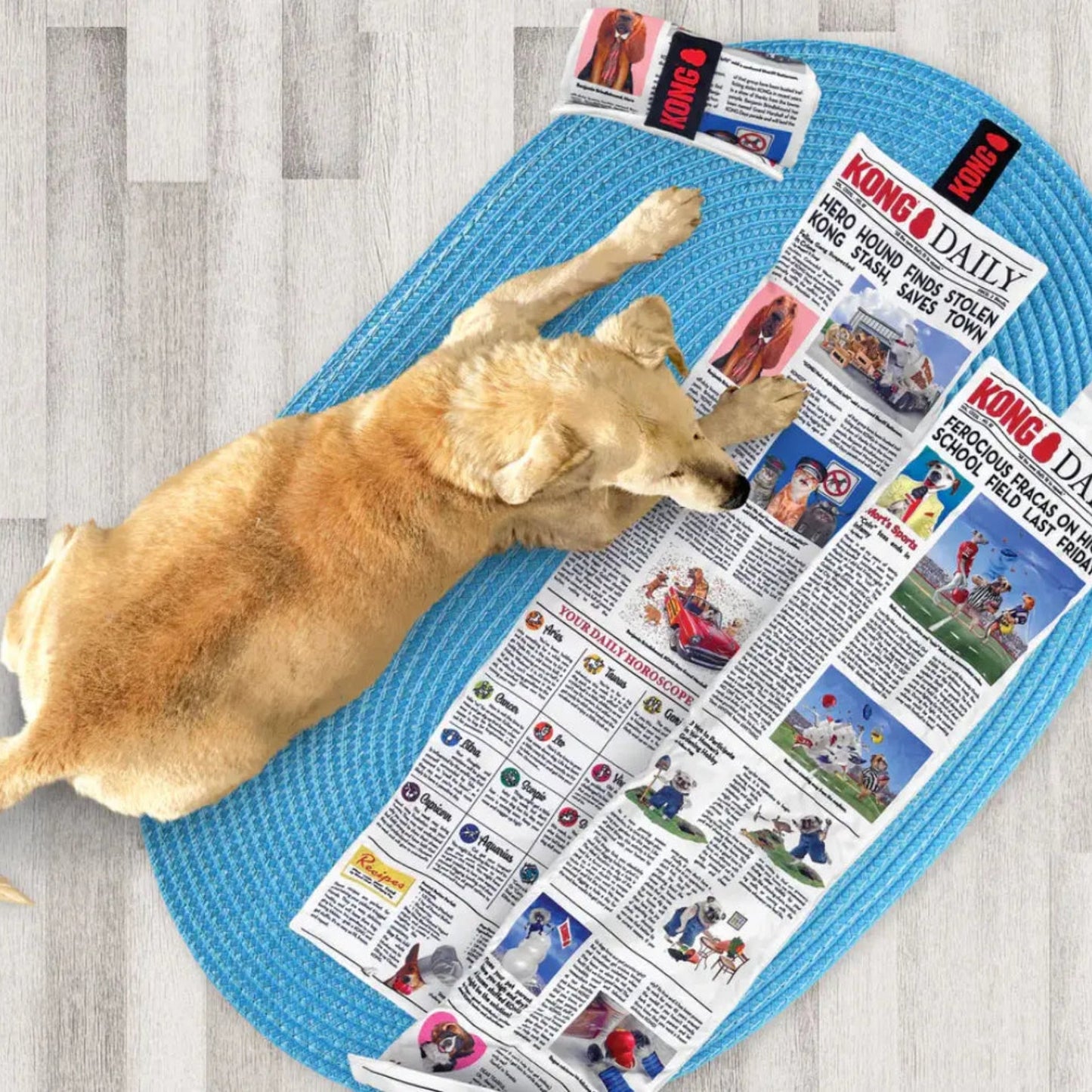 Kong Daily Newspaper XL The Groomers Tuck Shop