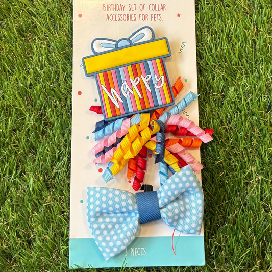 Dog Collar Birthday Accessory Set The Groomers Tuck Shop