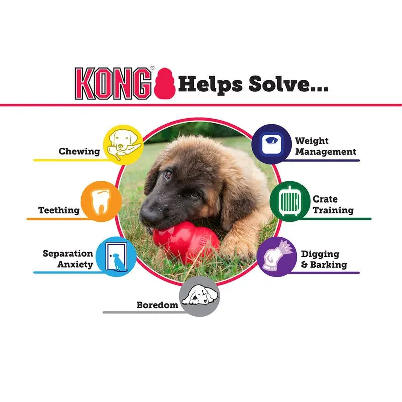 KONG Puppy Small The Groomers Tuck Shop