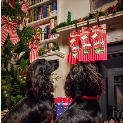 Denzels Christmas Stocking The Groomers Tuck Shop