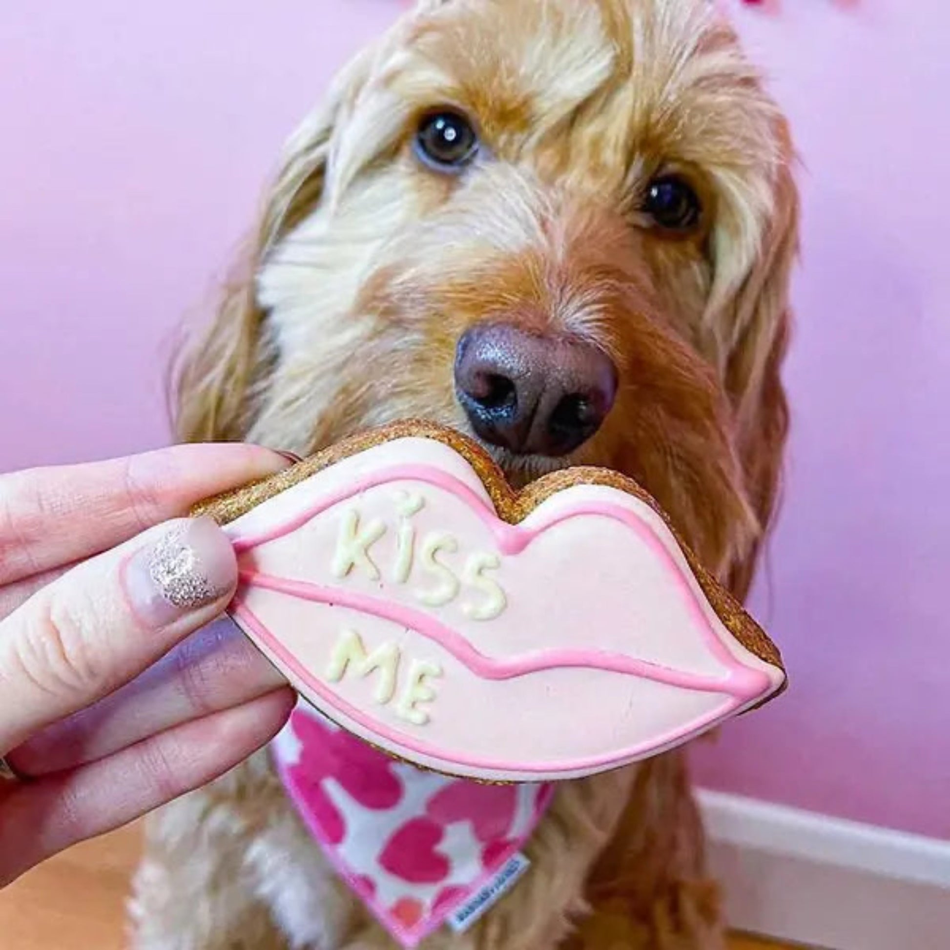 Kiss Me Valentines Biscuit The Groomers Tuck Shop