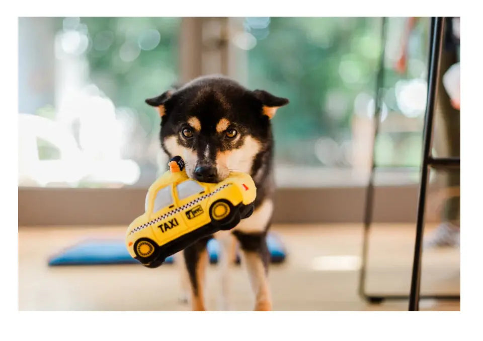 Canine Commute Taxi - The Groomers Tuck Shop