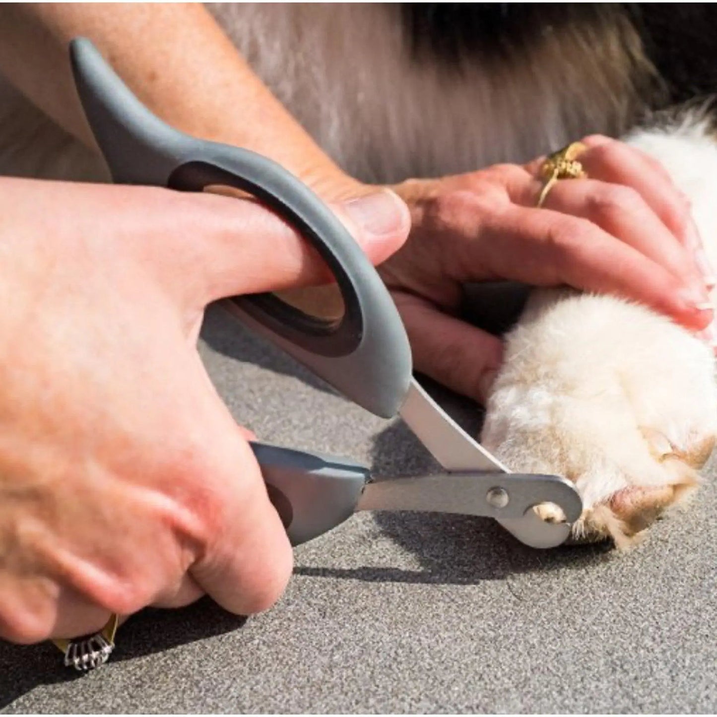 Nail Clipper - The Groomers Tuck Shop