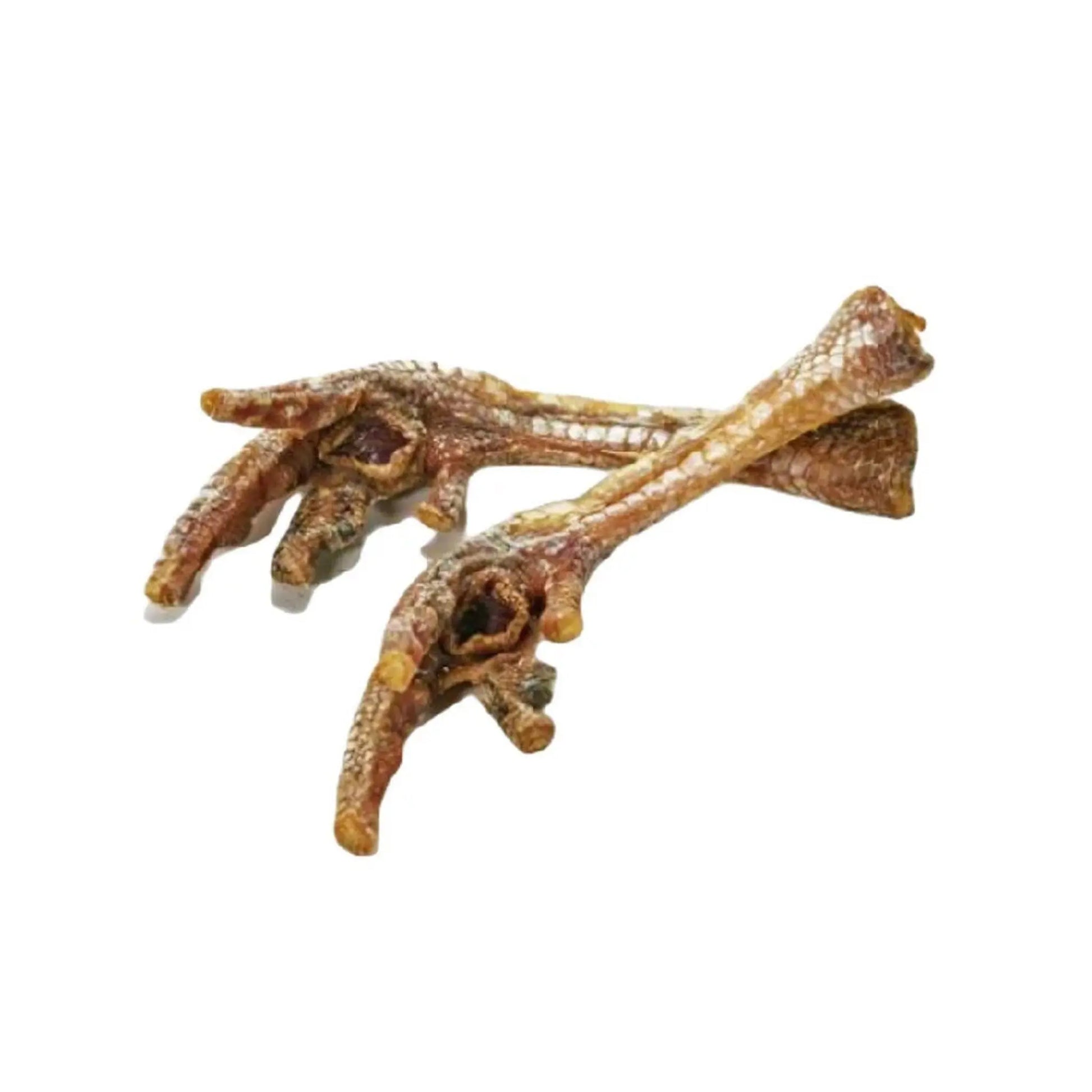 Dehydrated turkey foot