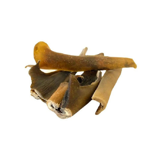 Camel Skin Dog Chew