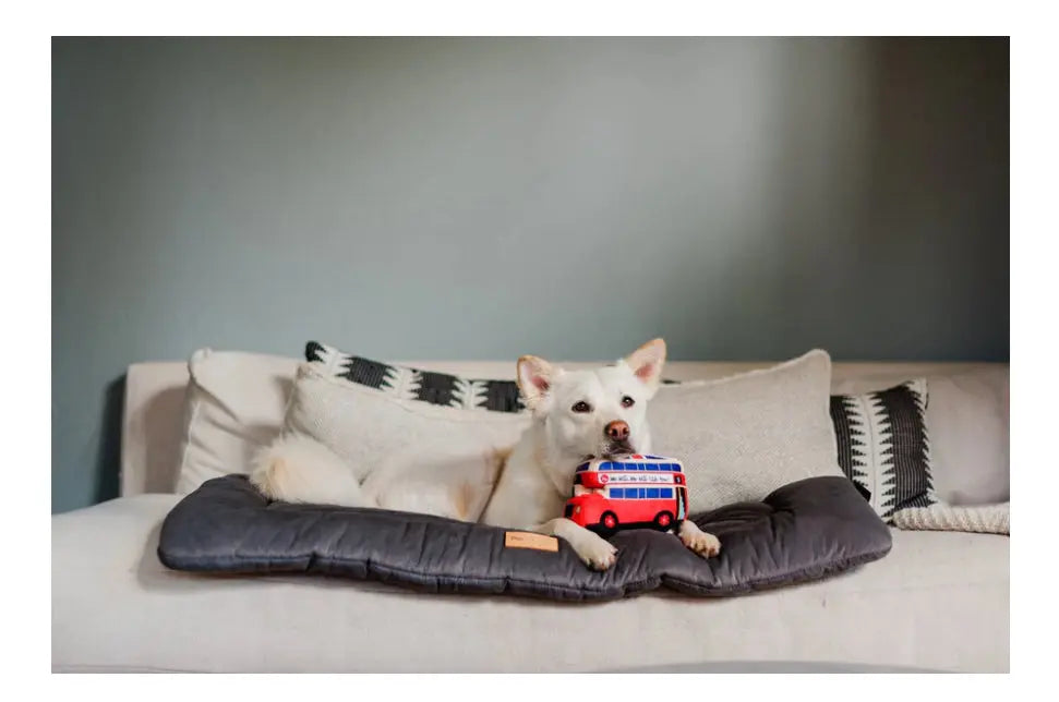 Canine Commute Bus - The Groomers Tuck Shop