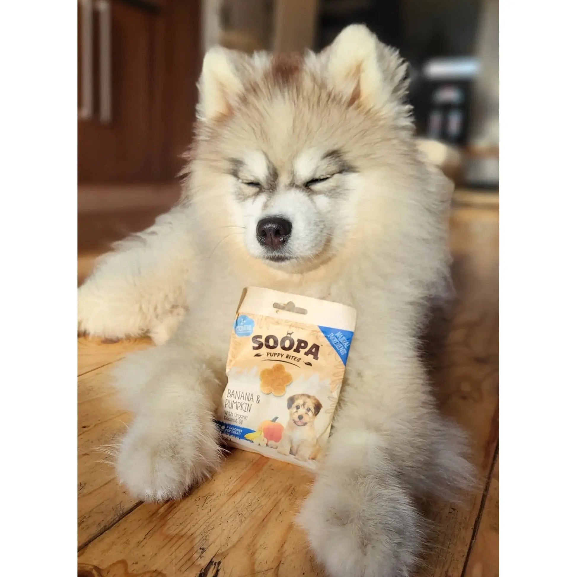 Banana & Pumpkin Puppy Treats - The Groomers Tuck Shop