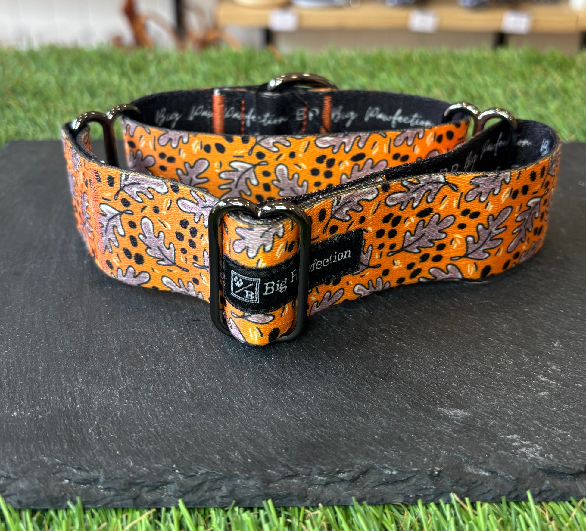 Greyhound Collar The Groomers Tuck Shop