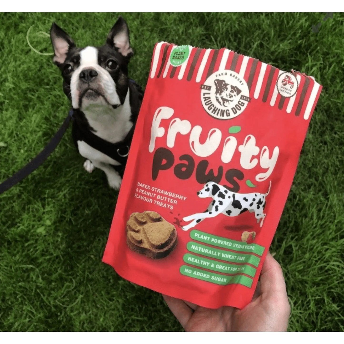 Laughing Dog Fruity Paws - The Groomers Tuck Shop