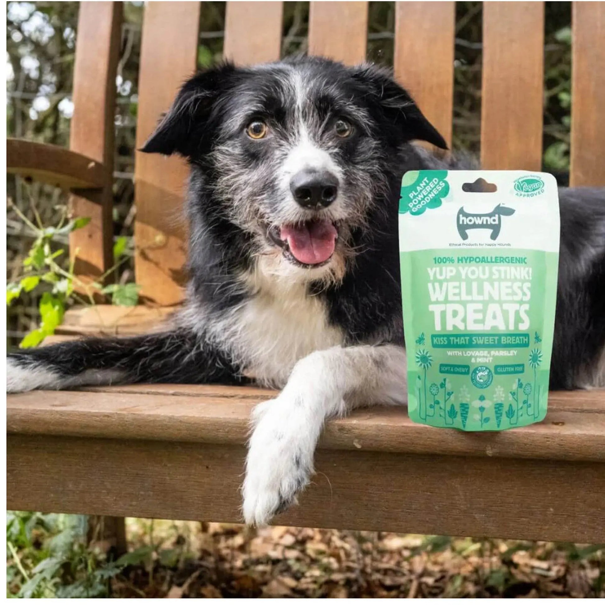 Hypoallergenic Dental Treats - The Groomers Tuck Shop