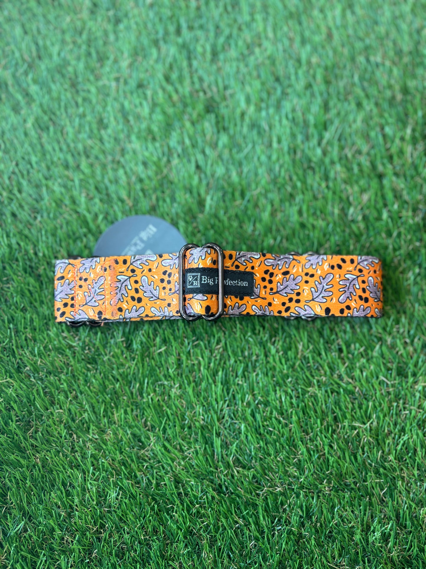 Greyhound Collar The Groomers Tuck Shop