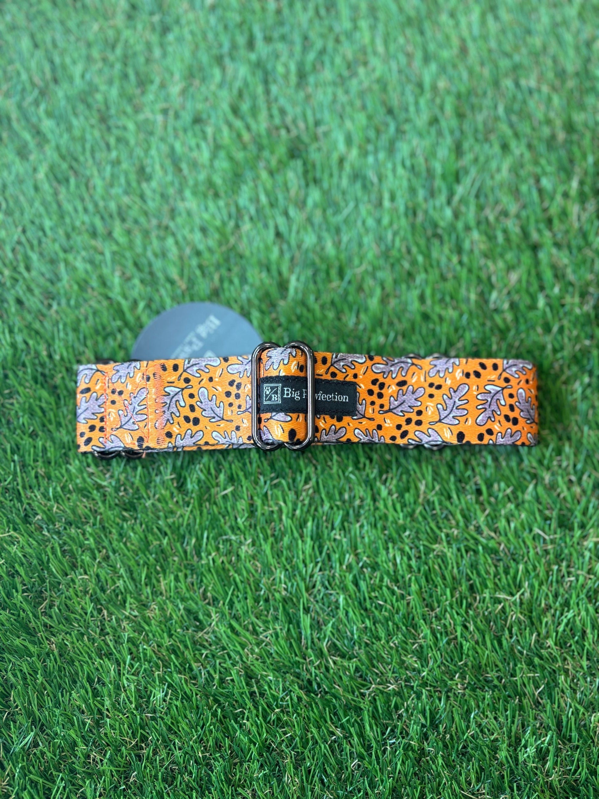 Greyhound Collar The Groomers Tuck Shop