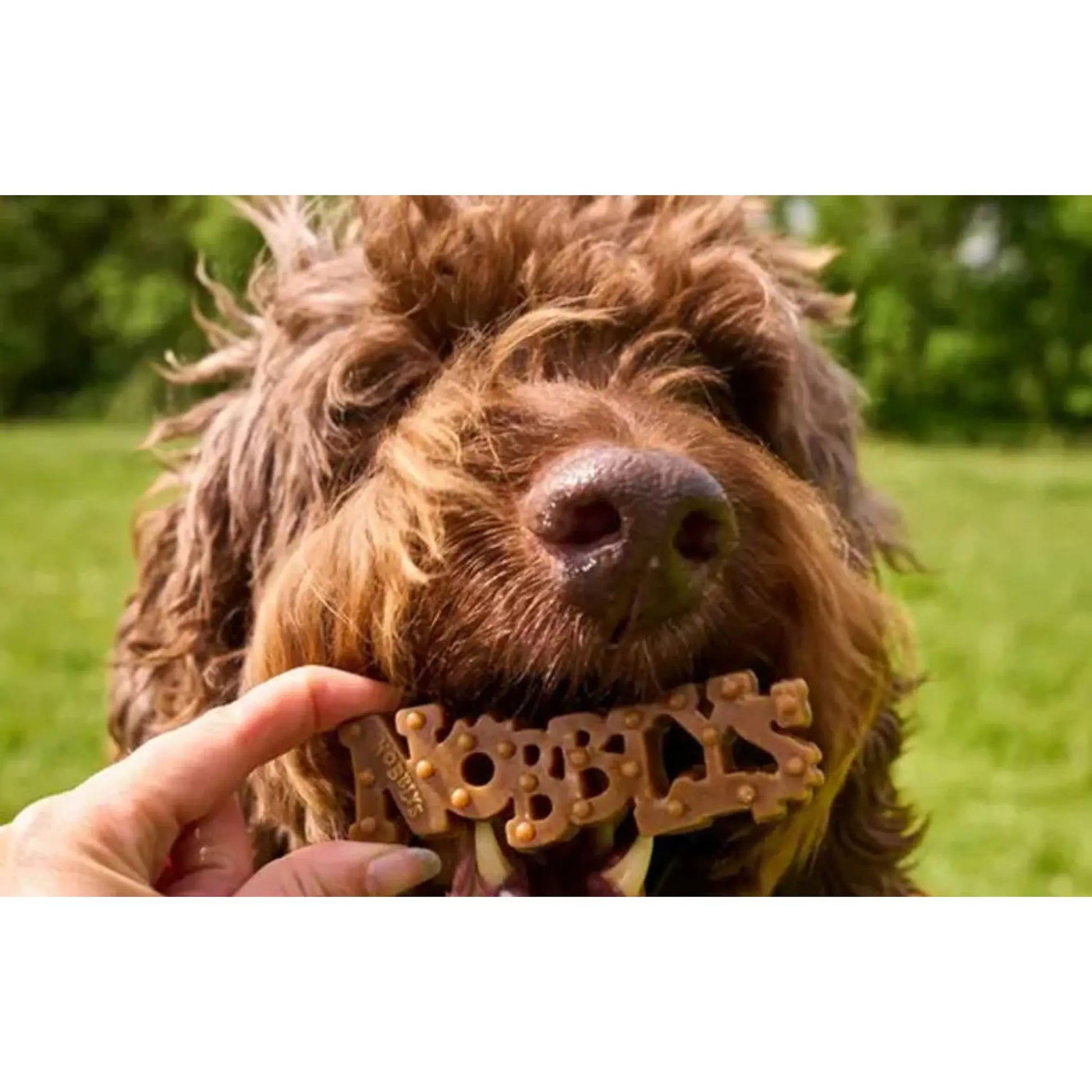 Nobblys Peanut Butter Dental Chew - The Groomers Tuck Shop