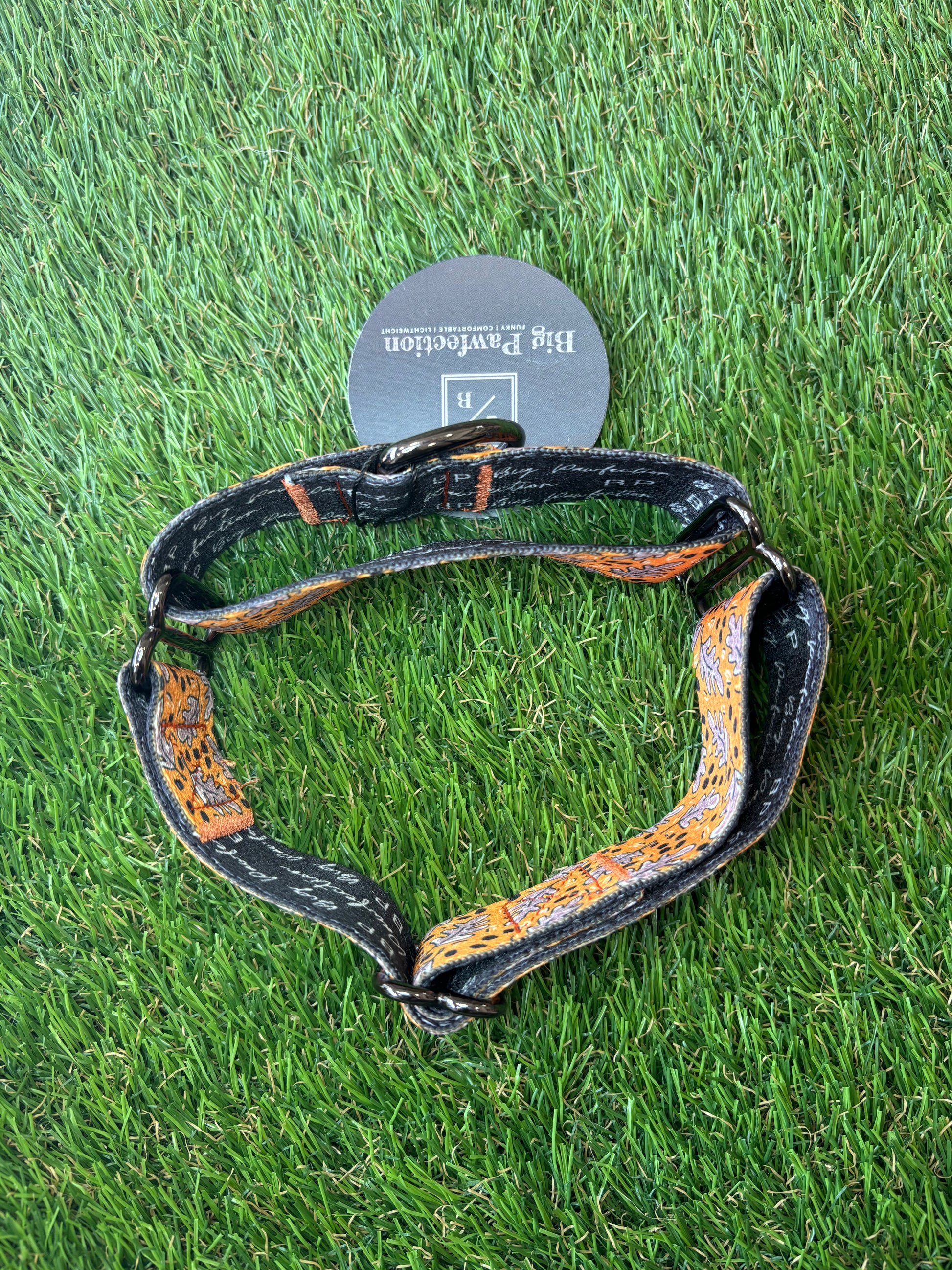 Greyhound Collar The Groomers Tuck Shop