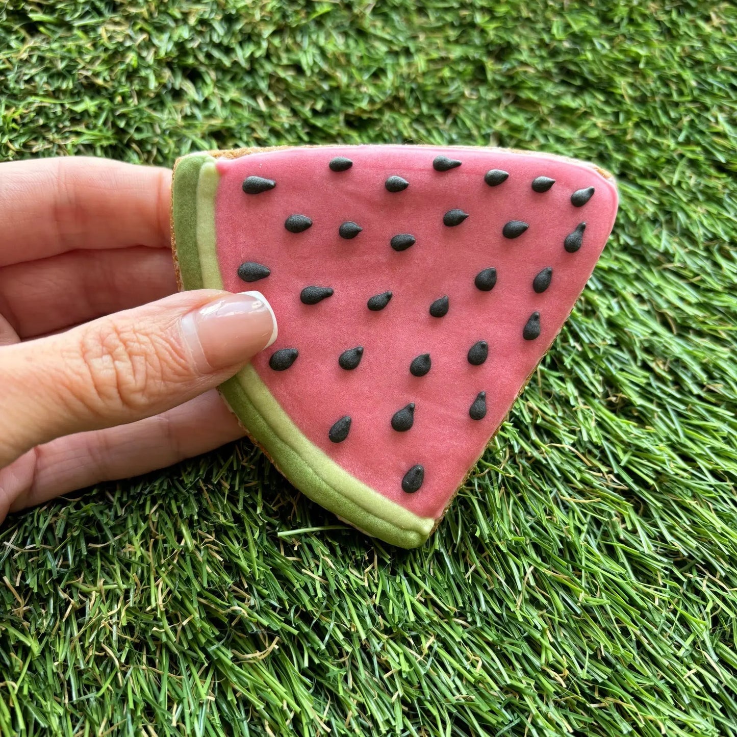 Watermelon Dog Cookie The Groomers Tuck Shop