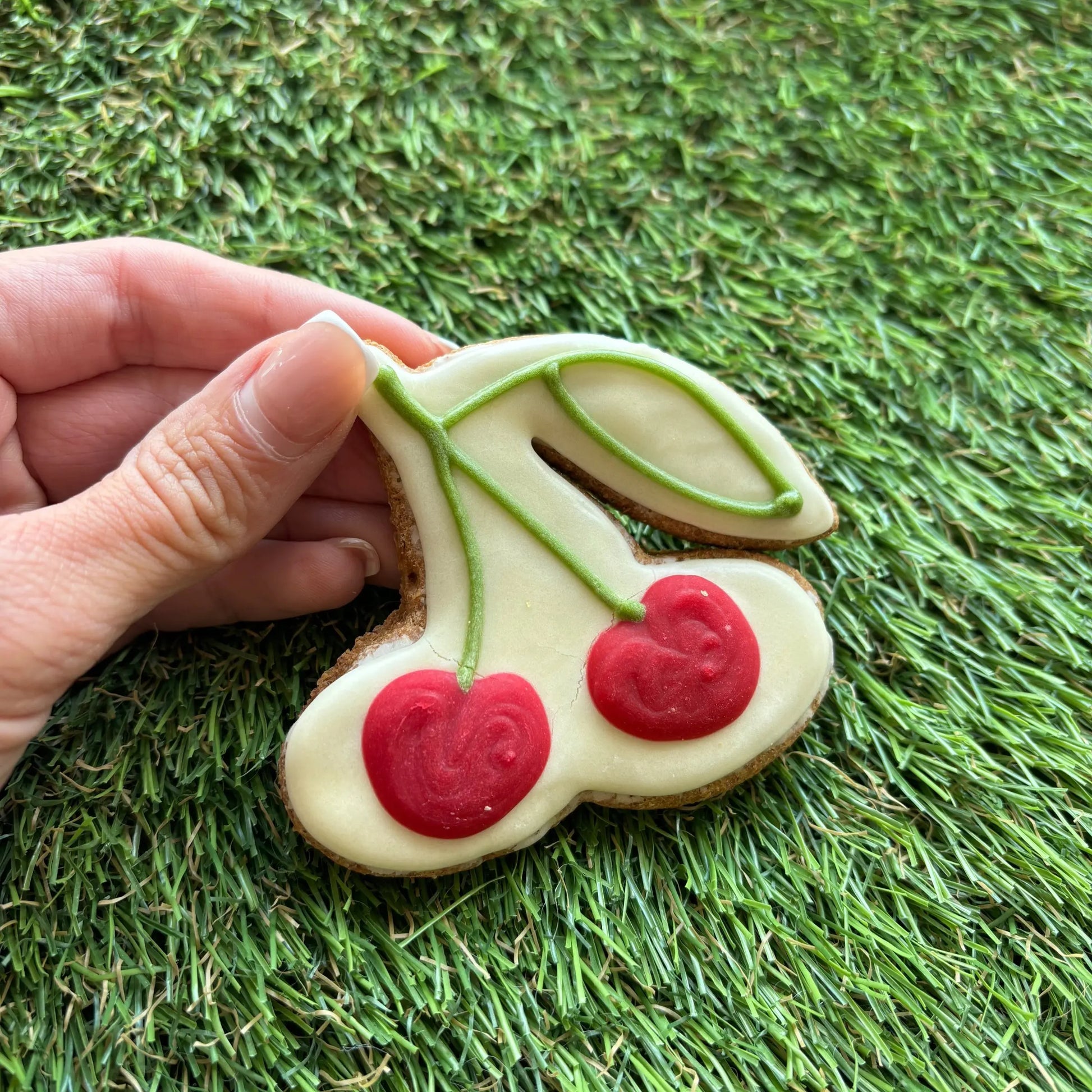 Cherry Dog Cookie The Groomers Tuck Shop