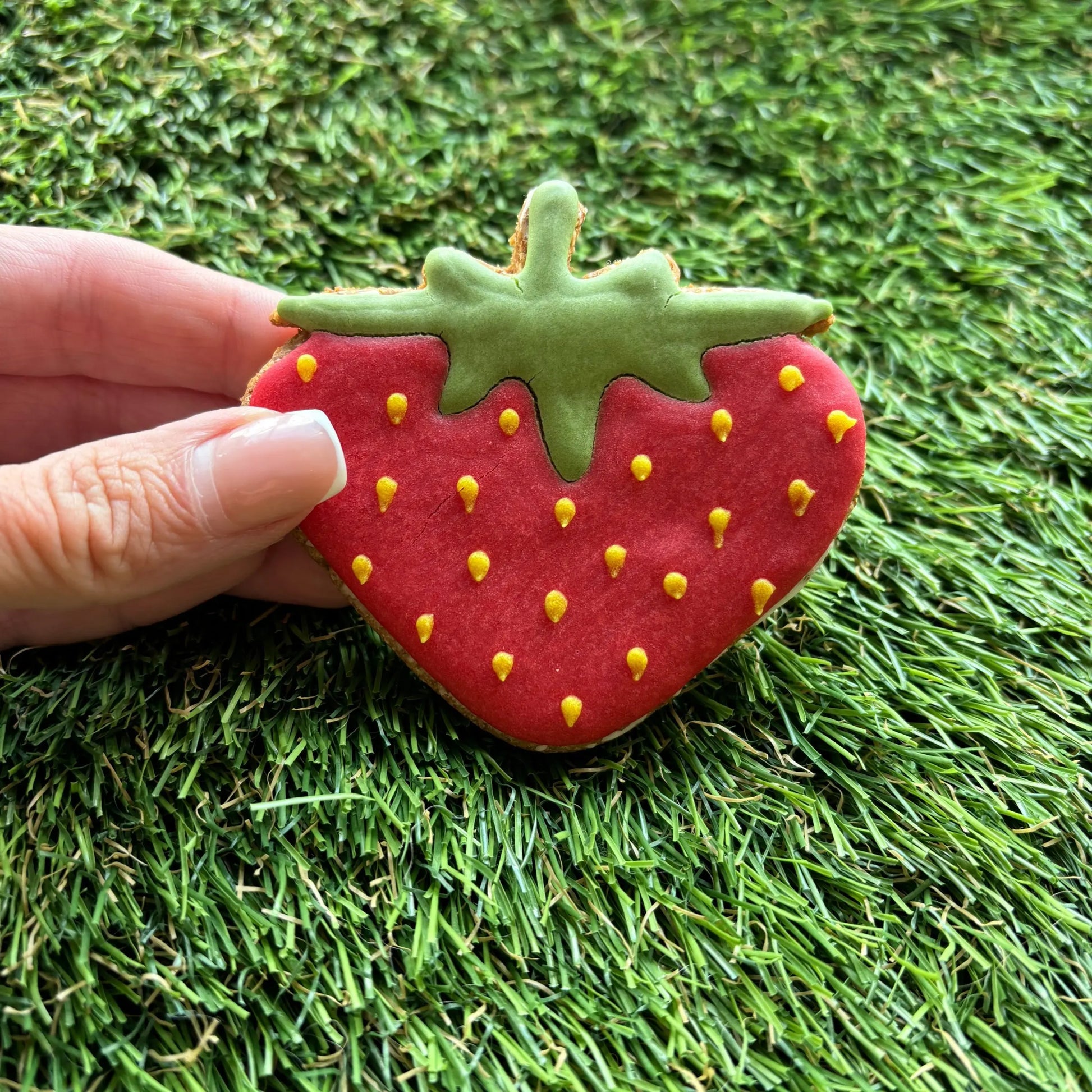 Strawberry Dog Cookie The Groomers Tuck Shop