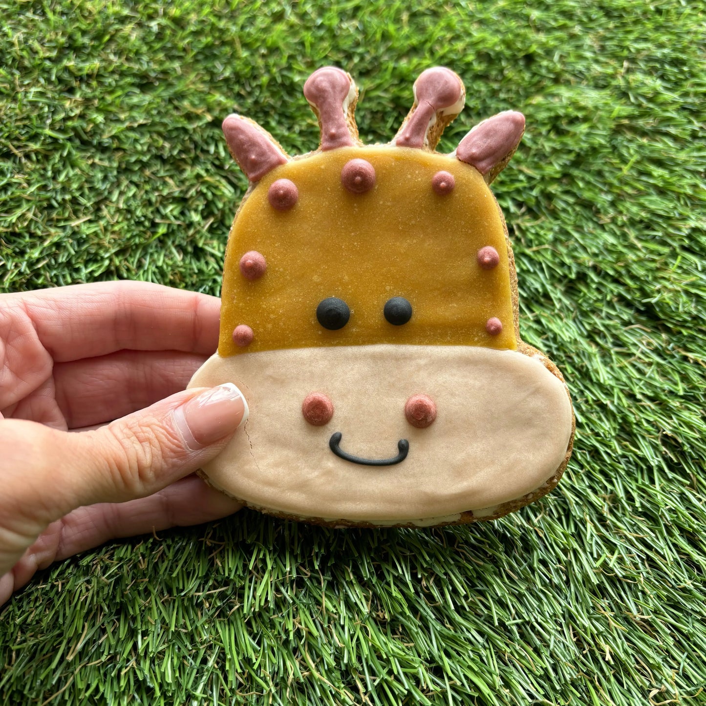 Giraffe Dog Cookie The Groomers Tuck Shop