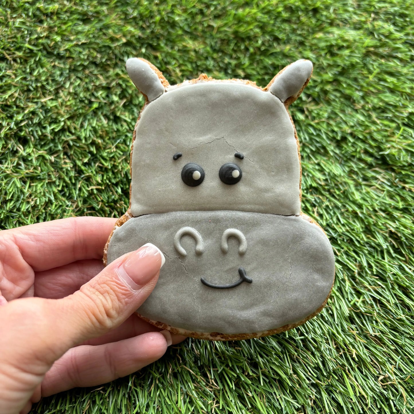Hippo Dog Cookie The Groomers Tuck Shop