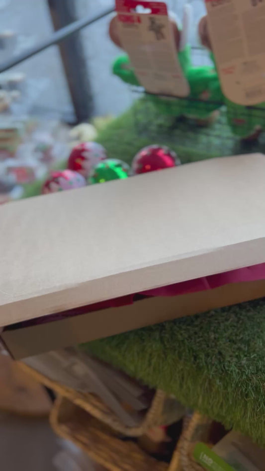 Christmas Cookie Gift Box